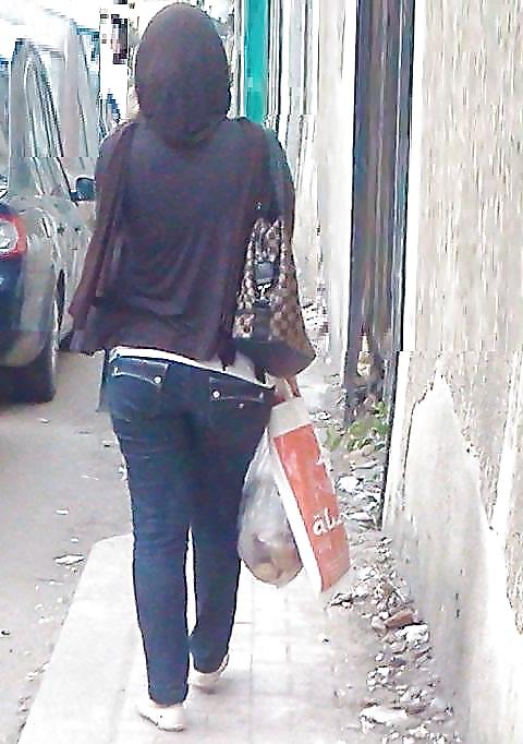 salop algerien